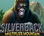 Silverback: Multiplier Mountain